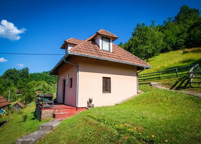 Apartmani Vidra
